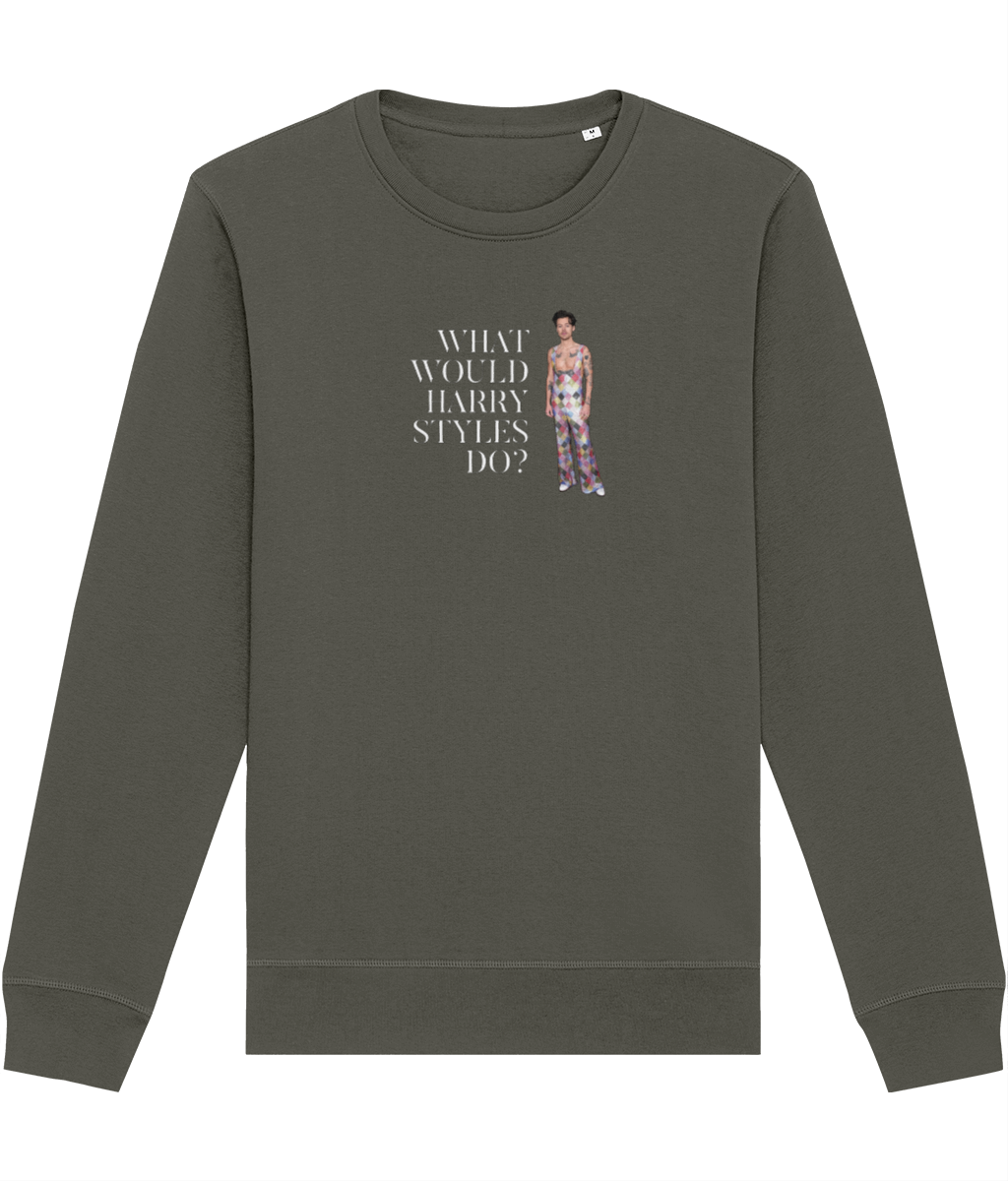 Bestseller feel: Contemporary 'What Would Harry Styles Do?' Organic Cotton Sweatshirt styled