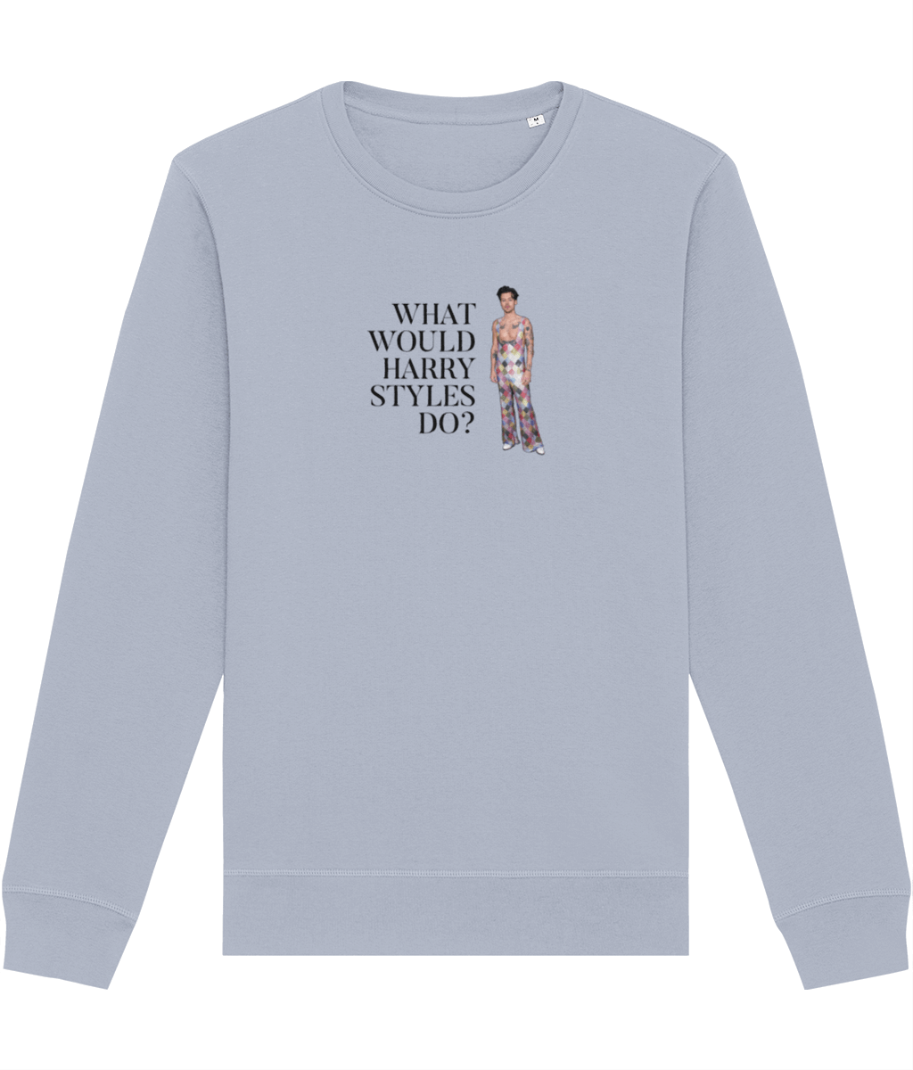 Uplift your energy with this Contemporary 'What Would Harry Styles Do?' Sweatshirt