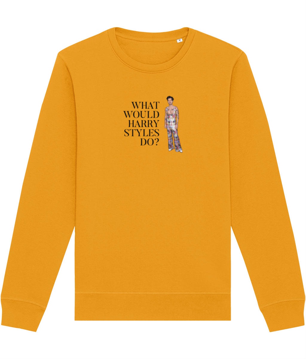 Contemporary 'What Would Harry Styles Do?' Sweatshirt for thoughtful fashion fans