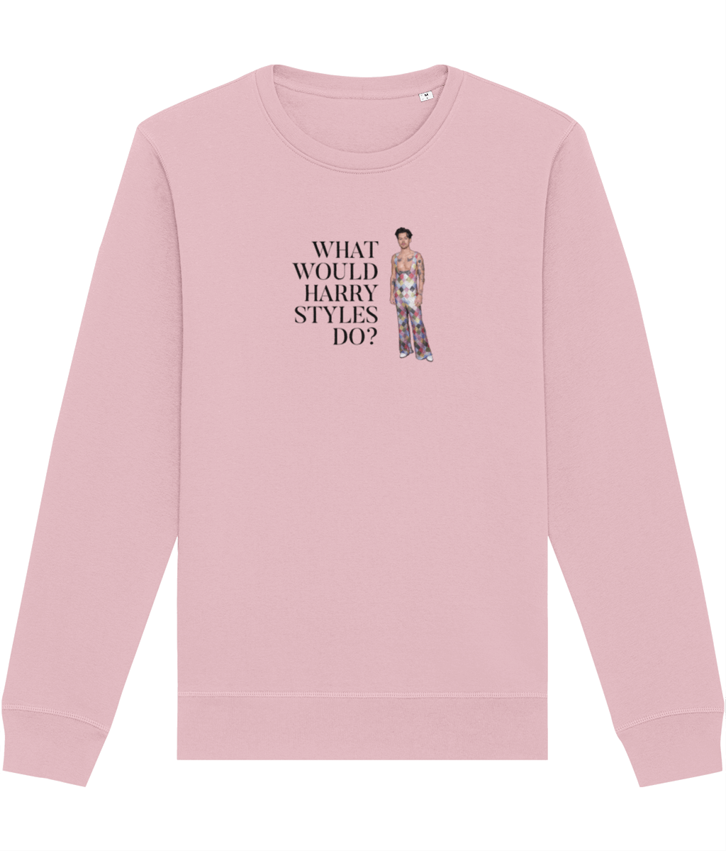 Rooted in intention, the Contemporary 'What Would Harry Styles Do?' Sweatshirt inspires