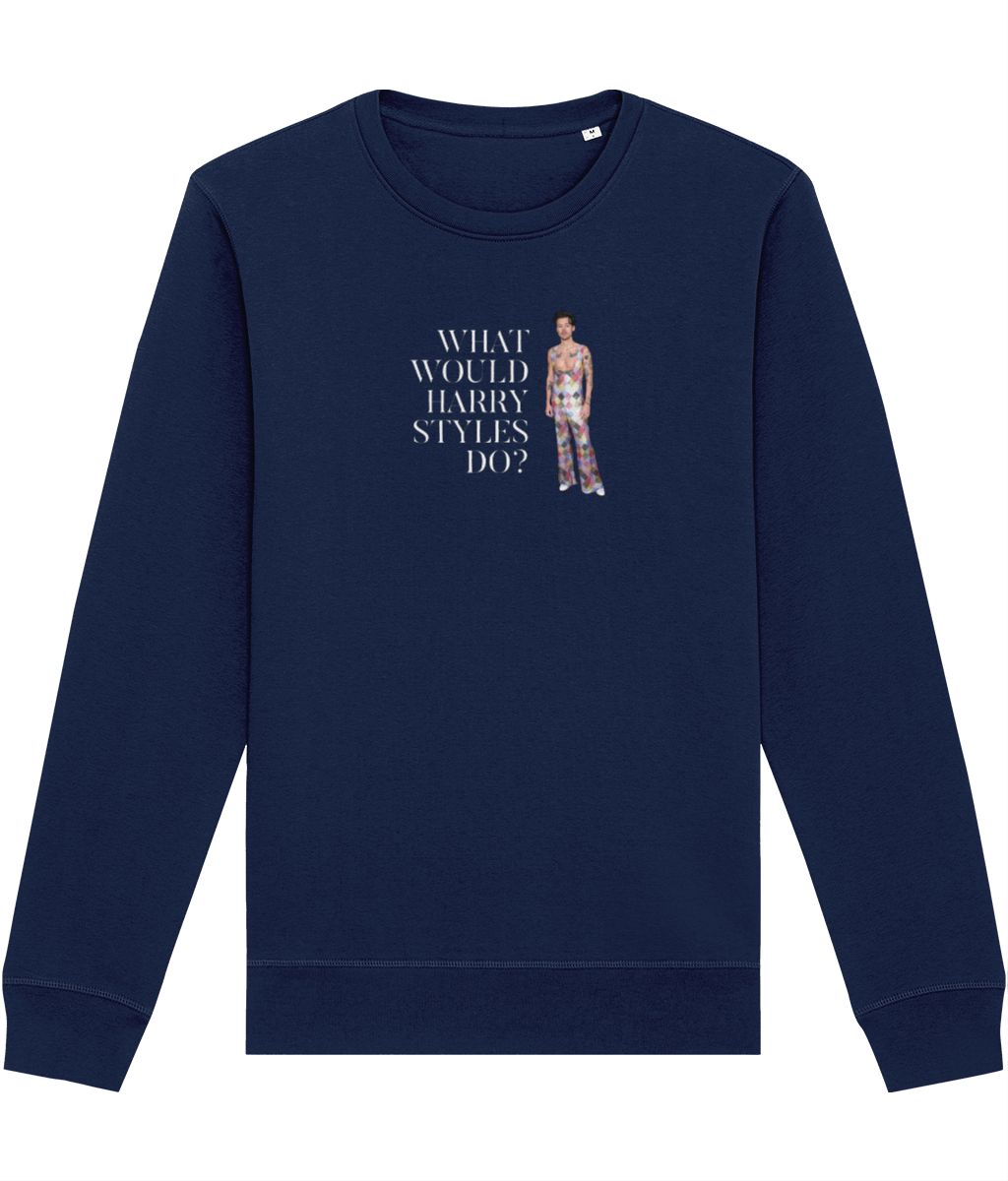 Contemporary 'What Would Harry Styles Do?' Organic Cotton Sweatshirt