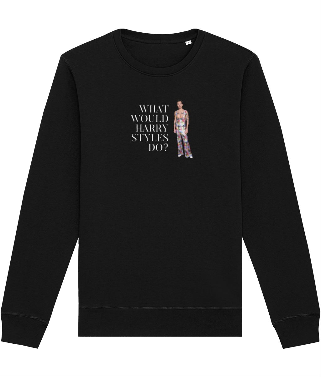 Contemporary 'What Would Harry Styles Do?' Organic Cotton Sweatshirt