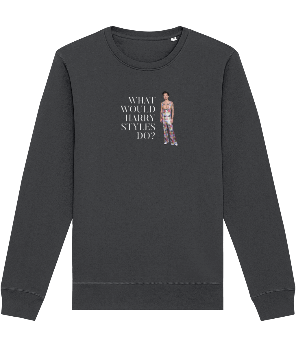 Contemporary 'What Would Harry Styles Do?' Organic Cotton Sweatshirt