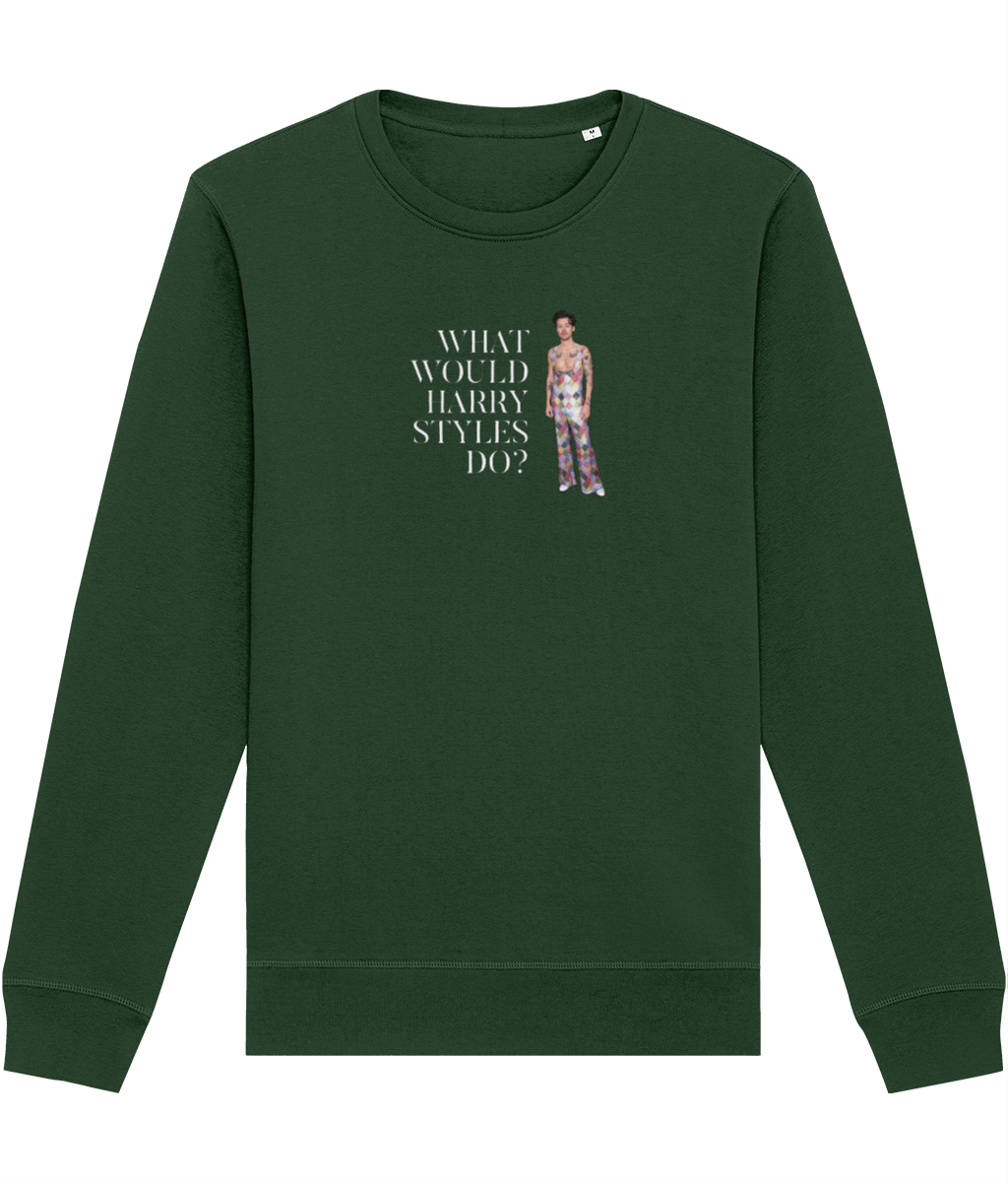 Contemporary 'What Would Harry Styles Do?' Organic Cotton Sweatshirt
