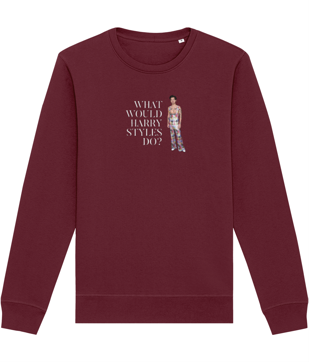 Contemporary 'What Would Harry Styles Do?' Organic Cotton Sweatshirt