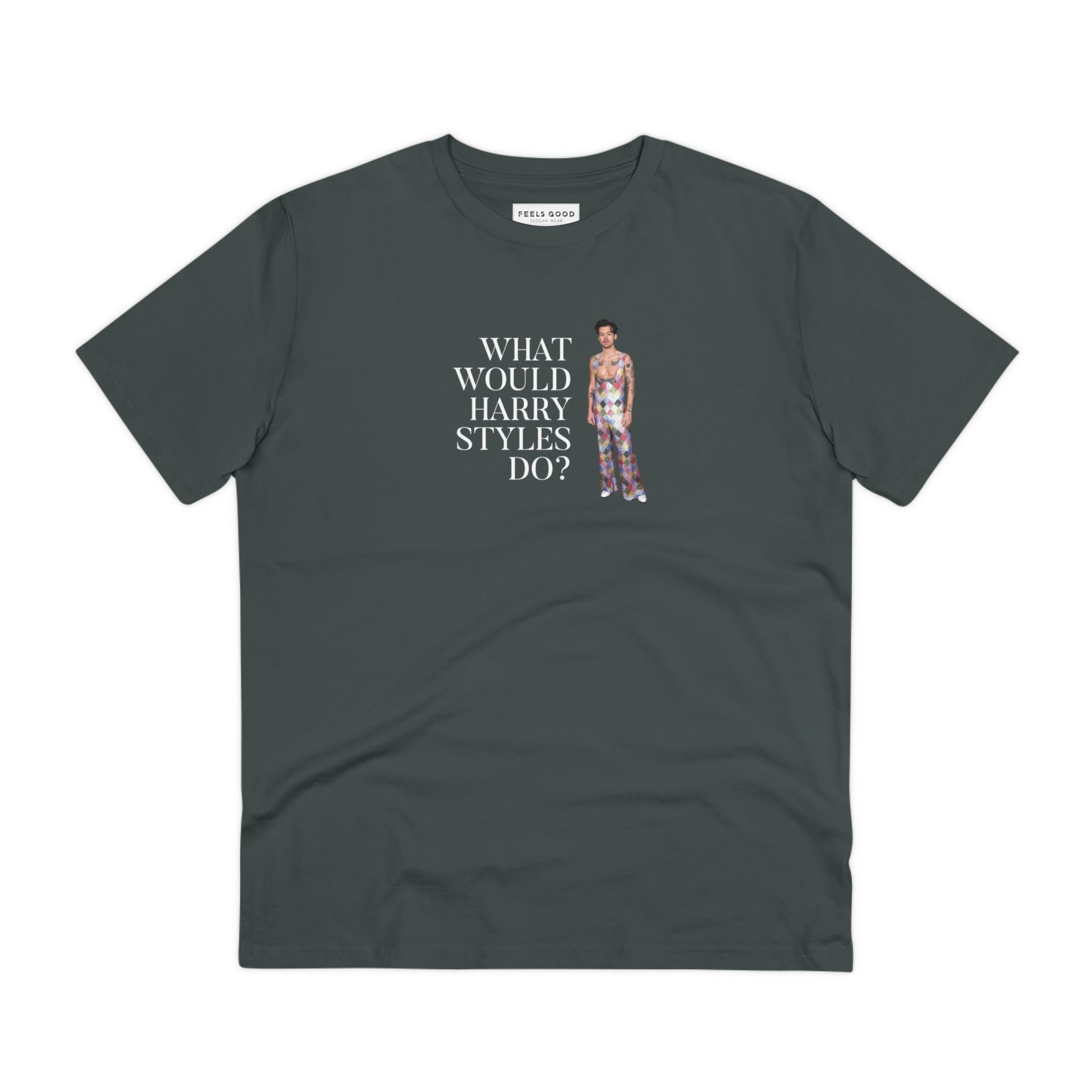 Eco-friendly best t-shirt: 'Harry Styles' organic cotton tee.
